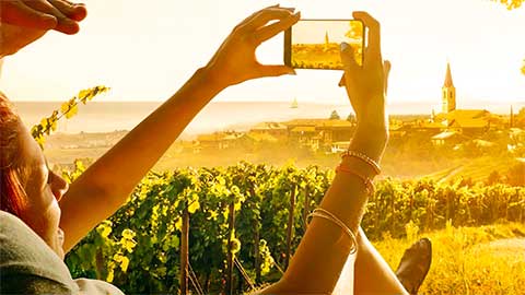 Brtonigla - Verteneglio - Istra - Istria