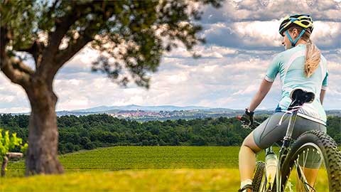 Brtonigla - Verteneglio - Istra - Istria