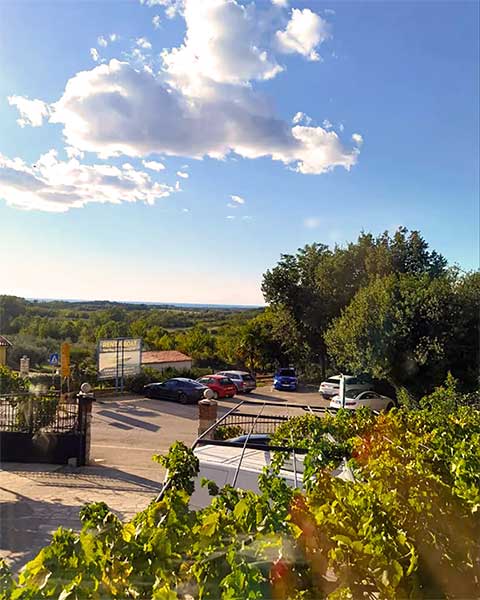 Brtonigla - Verteneglio - Istra - Istria