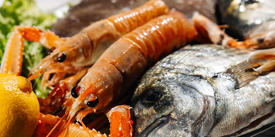 Istrische Spezialitäten vom Grill und eine warme Gastgeberatmosphäre